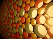 P1000065b_800x600.jpg