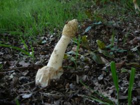 P1070920_800x600.jpg